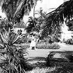 Fairchild Tropical Garden Miami, Florida, 19808