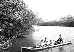 Seminole Indians in a Canoe on the Miami River, 1912