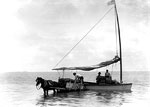 Trading Goods Along the Coast of Key West, 1900