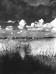 Clouds Over the Everglades, 1950