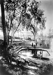 Tourists Beside the Bathing Pool at the Clarendon Hotel, Green Cove Springs, 1886