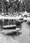 Glass Bottom Boats by Dock, Silver Springs, 1926
