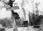 Train By Boat Landing, Silver Springs, 1900