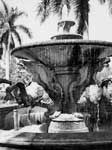 Architect Addison Mizner's Memorial Fountain, Palm Beach, Florida, 1946