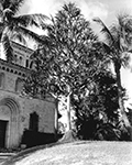 Palm Beach Home Designed by Maurice Fatio, Palm Beach Florida, 1956
