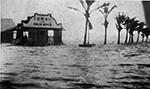 View of Flagler Boulevard After the Hurricane, 1926