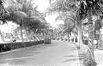 Lake Drive at the Everglades Club, Palm Beach Florida, 192-