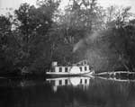 Steamboat Ibis on the Loxahatchee River Jupiter Region, Florida, 1902